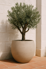 Jumbo Orb Beige Washed - XS - D69 x H57