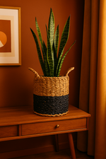Load image into Gallery viewer, Mand Vic - 30x27
