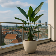 Pot Grigio New Egg Antique White - D65 x H54