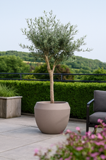 Load image into Gallery viewer, Pot Ruvido Clay - D54 x H47

