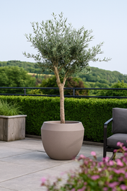 Pot Ruvido Clay - D54 x H47