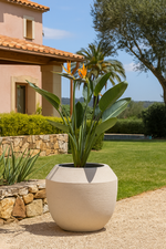 Load image into Gallery viewer, Pot Ruvido Sand - D54 x H47
