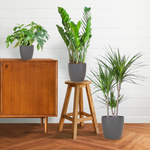 Load image into Gallery viewer, Schaduw Plantenbox - medium - met vibers pot grijs
