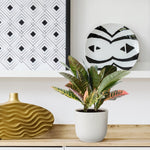 Load image into Gallery viewer, Codiaeum variegatum &#39;Petra&#39; - 30 cm - ø12
