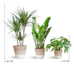 Load image into Gallery viewer, Schaduw Plantenbox - medium - met mand Lissabon wit
