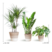 Schaduw Plantenbox - medium - met mand Lissabon wit