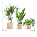 Load image into Gallery viewer, Schaduw Plantenbox - medium - met mand Sofia

