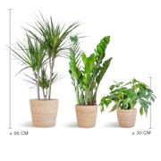 Schaduw Plantenbox - medium - met mand Sofia