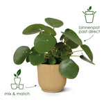 Load image into Gallery viewer, Pot elho Vibes Fold Round groen - D18 x H17
