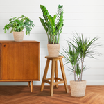 Load image into Gallery viewer, Schaduw Plantenbox - medium - met mand Sofia
