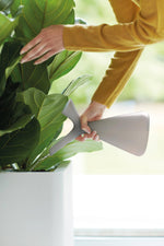 Load image into Gallery viewer, Plunge gieter 1,7L Wit

