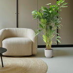 Load image into Gallery viewer, Caryota Mitis - 140 cm - ø24
