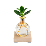 Load image into Gallery viewer, Glowplant - Clusia in vaasje met lampje
