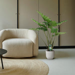 Load image into Gallery viewer, Alocasia Portodora - 140 cm - Ø34cm
