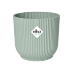 Load image into Gallery viewer, Combi deal Sansevieria Laurentii + zamicoulas met pot
