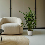 Load image into Gallery viewer, Caryota Mitis - 110 cm - Ø19cm
