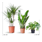 Load image into Gallery viewer, Schaduw Plantenbox - medium - zonder sierpot
