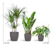 Schaduw Plantenbox - medium - met vibers pot grijs