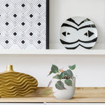 Load image into Gallery viewer, Philodendron scandens &#39;Micans&#39; - 25 cm - ø12

