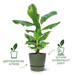 Load image into Gallery viewer, Pot elho Greenville Round zwart - D18 x H17
