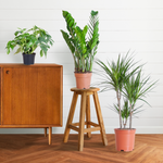 Load image into Gallery viewer, Schaduw Plantenbox - medium - zonder sierpot
