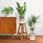Load image into Gallery viewer, Schaduw Plantenbox - medium - met mand Lissabon wit
