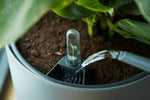 Load image into Gallery viewer, Self Watering Insert - 21 cm

