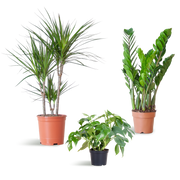 Schaduw Plantenbox - medium - zonder sierpot